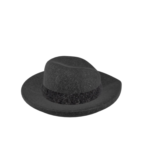 A hat with a pin is a hat that features a decorative pin or badge affixed to it. Pins can signify various things such as affiliations, achievements, or personal interests, and can be found on many types of hats.
