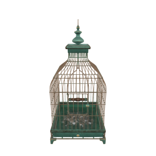 A Bird Cage is a built home for birds kept as pets. Bird cages often have multiple perches and food and water dishes. The design varies in size, shape, and construction material depending on the bird species.