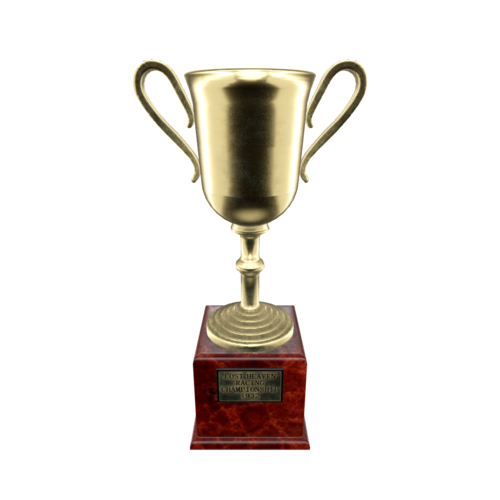 A Championship Cup is a trophy awarded to the winner of a competition. This symbolizes victory and is often made of a gold-plated material.