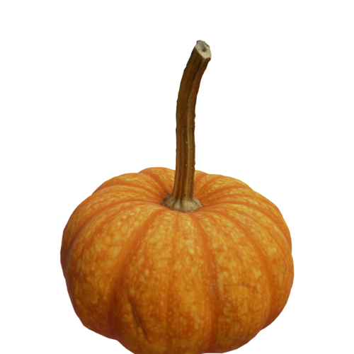 A pumpkin is a cultivar of a squash plant, most commonly of Cucurbita pepo. It's known for its round, smooth, slightly ribbed skin and deep yellow to orange coloration. 