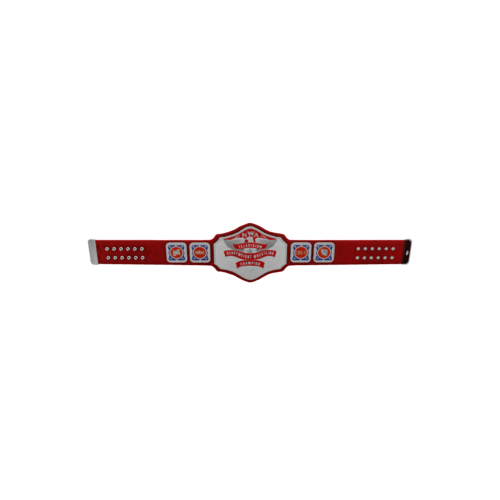 The NWA Television Champion Belt worn by many of the greats including Sting, Ric Flair and Roddy Piper. This belt is beautiful and yet so simple.